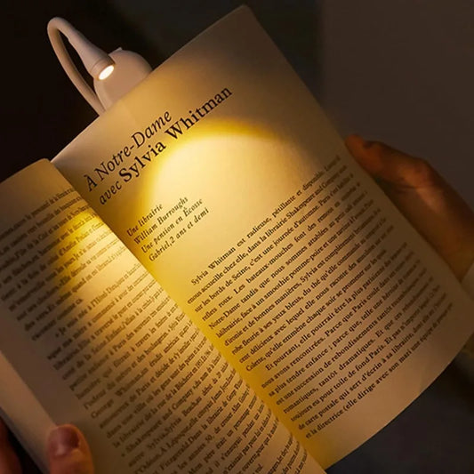 Rechargeable Clip-On Study Light